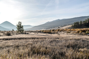 Frosty Mountain morning