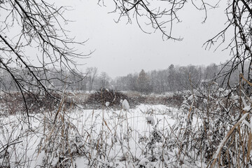 During snowfall in Canada Quebec