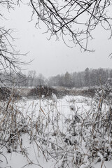 During snowfall in Canada Quebec
