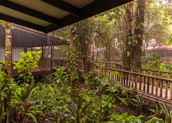 Wooden cabins in nature resort in Costa Rica rainforest during tropical downpour rainstorm