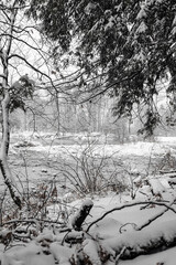 Winter riverscape in park Quebec Canada
