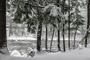 Winter riverscape in park Quebec Canada