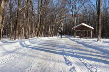 A woman in a path in winter. Forest, snow, wooden shelter and someone walking. Hiking and trail in winter and outdoor activities. Relaxing in the forest in winter.