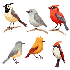 Assorted Avian Species on Clean Background