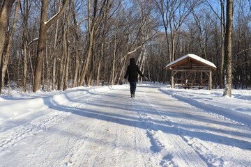 A woman in a path in winter. Forest, snow, wooden shelter and someone walking. Hiking and trail in winter and outdoor activities. Relaxing in the forest in winter.	