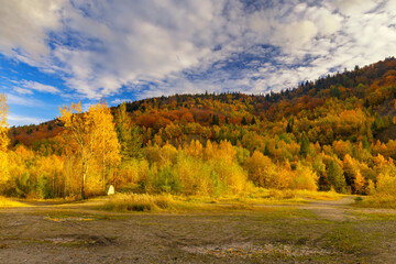 Autumn landscape in a quarry surrounded by colorful trees, Kozy, Poland, Silesian Voivodeship, natural background or wallpaper