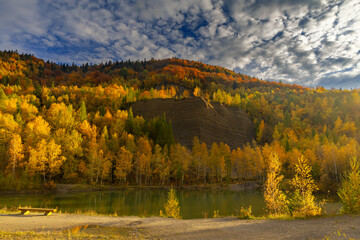 Autumn landscape in a quarry surrounded by colorful trees, Kozy, Poland, Silesian Voivodeship, natural background or wallpaper