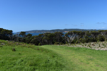 Coastal  landscape, on the Tawharanui Peninsula, Warkworth, North Island, New Zealand