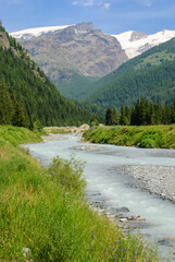 Mountain river flowing through a green alpine valley with pine forests, hiking trail and snowcapped peaks under a clear summer sky in the Italian Alps.