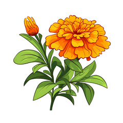 Vibrant Marigold Flower and Foliage Artwork