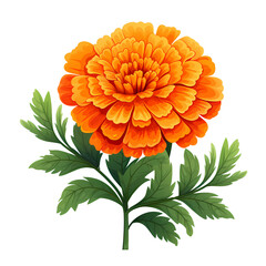 Vibrant Marigold Flower and Foliage Art