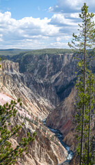 grand canyon of Yellowstone view