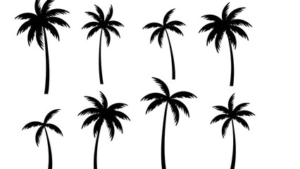 Fototapeta premium Black Palm Tree Silhouette Collection Vector Set on White Background