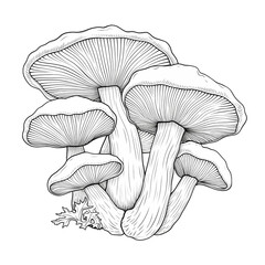 Elegant Vintage Niscalo Red Pine Mushroom