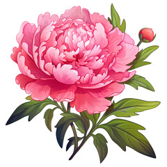 Exquisite Antique Pink Peony Floral Bloom