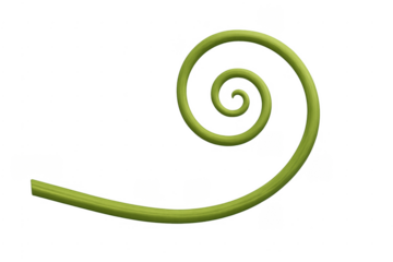 Green plant vine tendril curling on transparent background