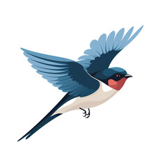 Obraz premium Graceful Swallow on White Background