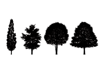Four different tree silhouettes isolated on transparent background