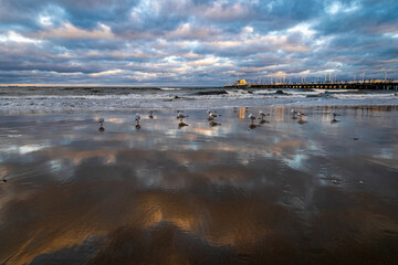 Storm on the Baltic Sea coast	
