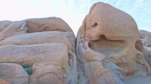 Iconic Skull Rock granite formation shaped by erosion within the desert landscape of Joshua Tree National Park California