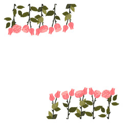 A frame decorated with light pink roses and buds on stems at the top and bottom edges. Vector illustration isolated on a white background.