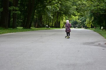 Fototapeta premium Toddler riding a three-wheel scooter along a park path, back view. Child enjoying freedom, movement and outdoor activity surrounded by green trees and peaceful nature.