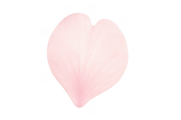 Pink cherry blossom petal forming heart shape