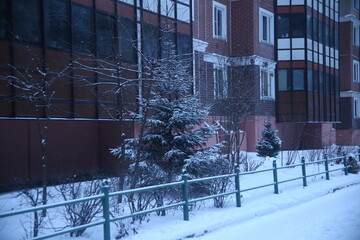 snow covered trees and houses