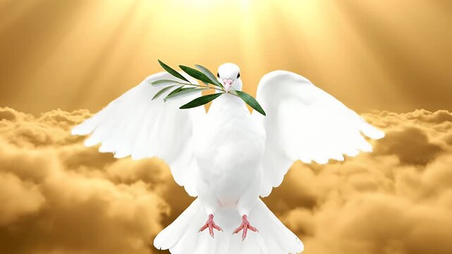 A dove with an olive branch flies in a sky of light and clouds.