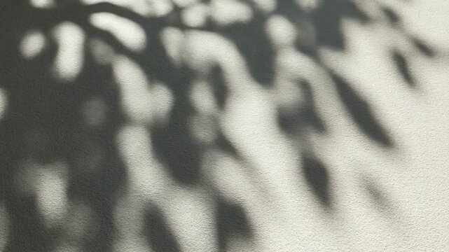 Gentle tree shadows swaying on sunlit wall in breezy afternoon