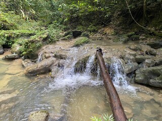 Arroyo Frio en Ivan Guzman