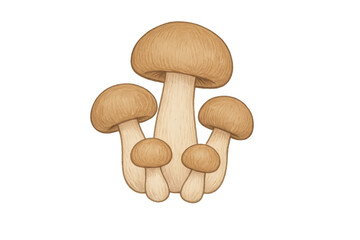 Brown shimeji mushrooms ingredient illustration transparent background