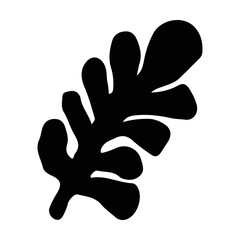 Obraz premium Hand drawn abstract organic leaf shape isolated on transparent background