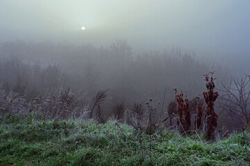 Chilly and foggy morning in the country