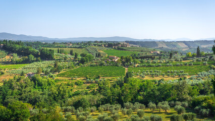 Naklejka premium Tuscan Countryside with Vineyards and Santa Maria Assunta Church, San Gimignano
