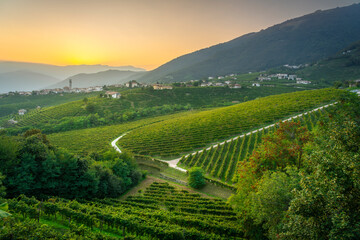 San Pietro di Barbozza and Prosecco Vineyards at Sunset, Italy