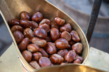 Traditional vintage French equipment for roasting and grilling fresh chestnuts over open fire, delicious street food, eating nuts on streets of Paris in autumn