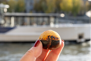 Traditional vintage French equipment for roasting and grilling fresh chestnuts over open fire, delicious street food, eating nuts on streets of Paris in autumn