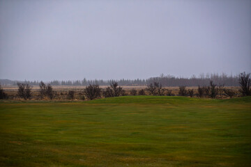 Fototapeta premium Minimalist landscape of a green field under a gray overcast sky in a misty nordic countryside