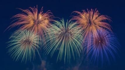 fireworks in the night sky