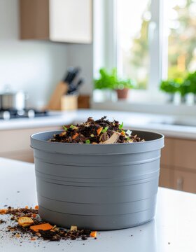 Kitchen Composting with Organic Waste