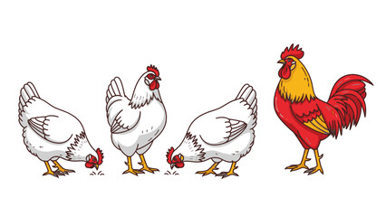 Fototapeta premium A colorful rooster stands proudly next to three white hens pecking at the ground.
