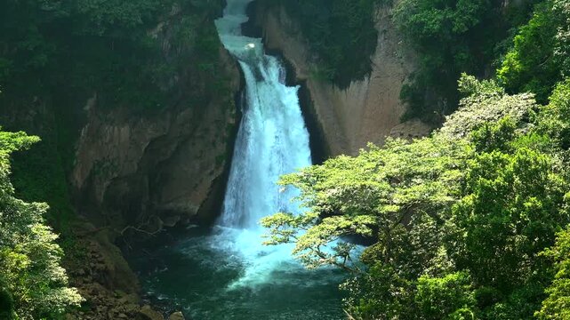 Cascada de Atoyac, Veracruz, Mexico.. s un remanso natural de aguas cristalinas rodeado de exuberante vegetaci&oacute;n. Su ca&iacute;da forma una poza fresca y luminosa, perfecta para disfrutar de la tranquilidad.