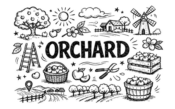 Hand drawn orchard scene with apples, trees, and farm elements in sketch style