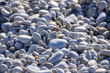 A dense layer of small and medium-sized smooth white and grey beach pebbles captured close up under bright sunlight creating a textured ground pattern by the calm sea