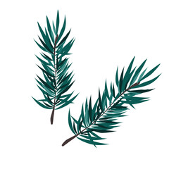 Naklejka premium branch of pine, New year, merry Christmas, decoration