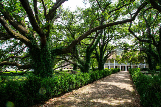 Laura Plantation Louisiana Creole history museum and historic buildings
