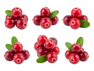 Clusters of red berries with green leaves arranged in a grid pattern on a white background