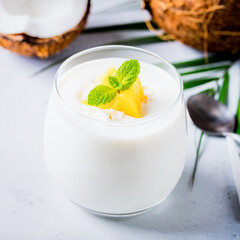 Creamy Coconut Yogurt with Tropical Notes in Premium Plant-Based Dairy Concept