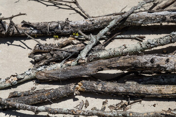 Broken branches on a street in Rio de Janeiro.
